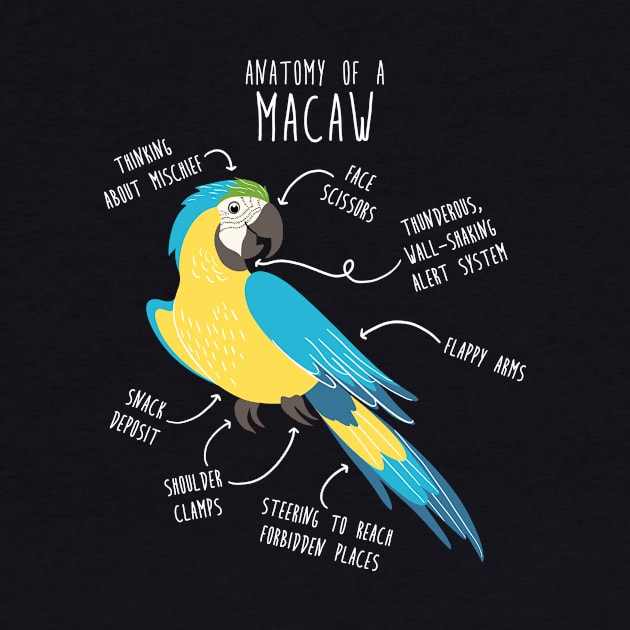 Blue and Gold Macaw Parrot Anatomy by Psitta